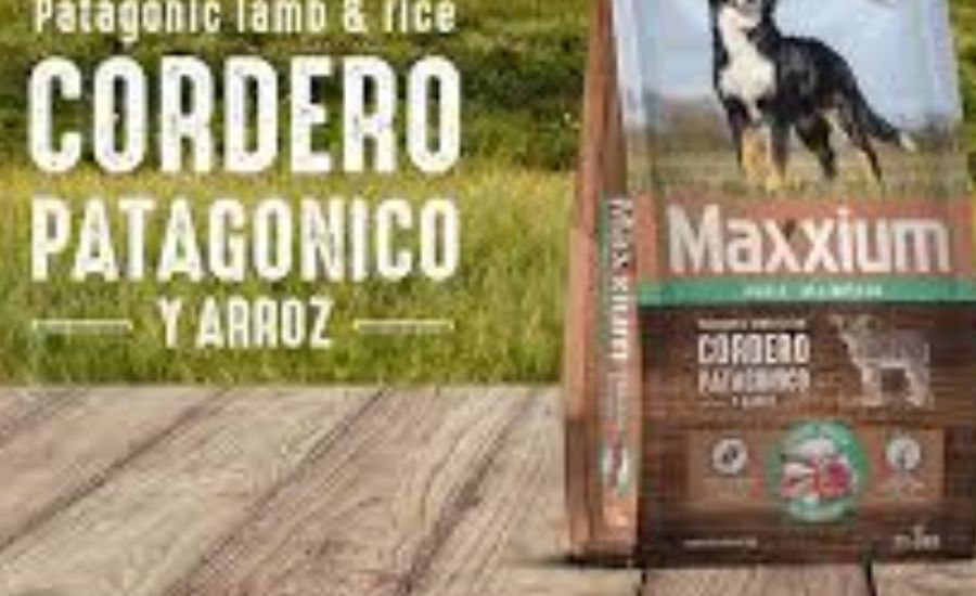 Key Benefits of Alimento Maxxium for Dogs